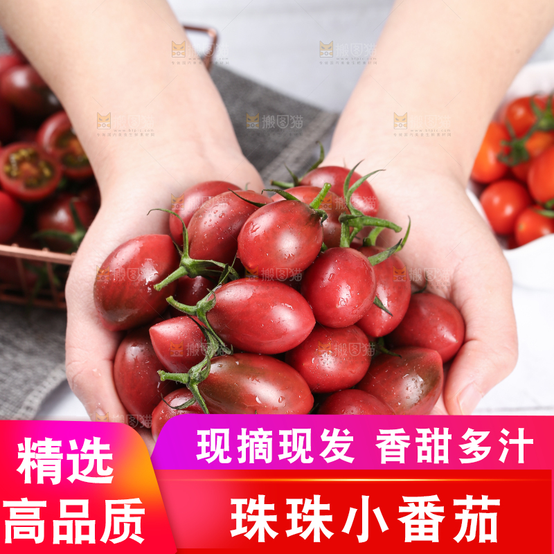 手里捧着珠珠小番茄
