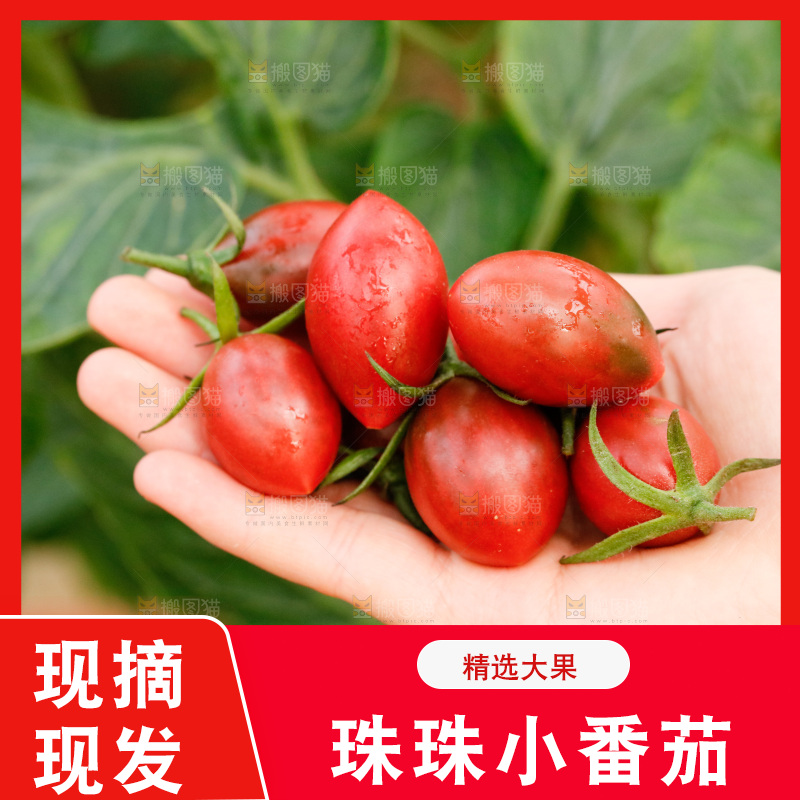 手里拿着紫葡萄小番茄