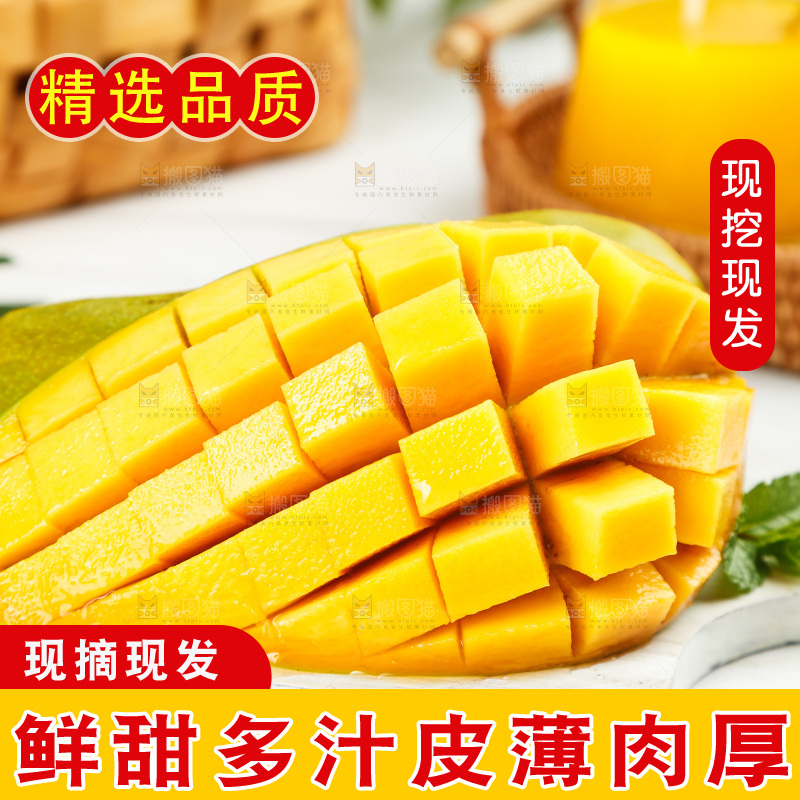 白底上放着金煌芒