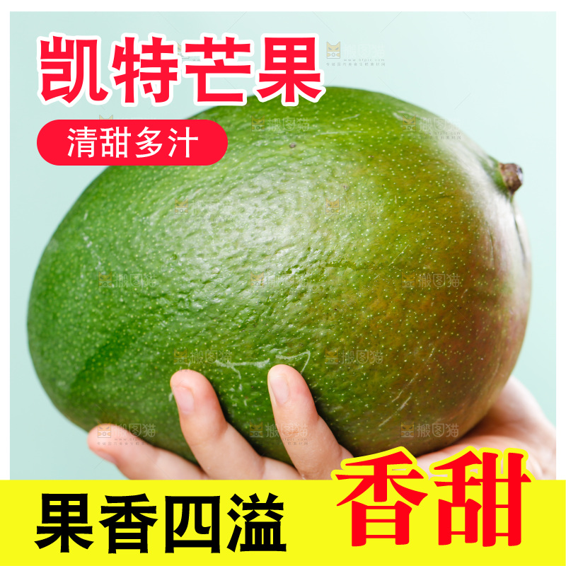 手上捧着凯特芒