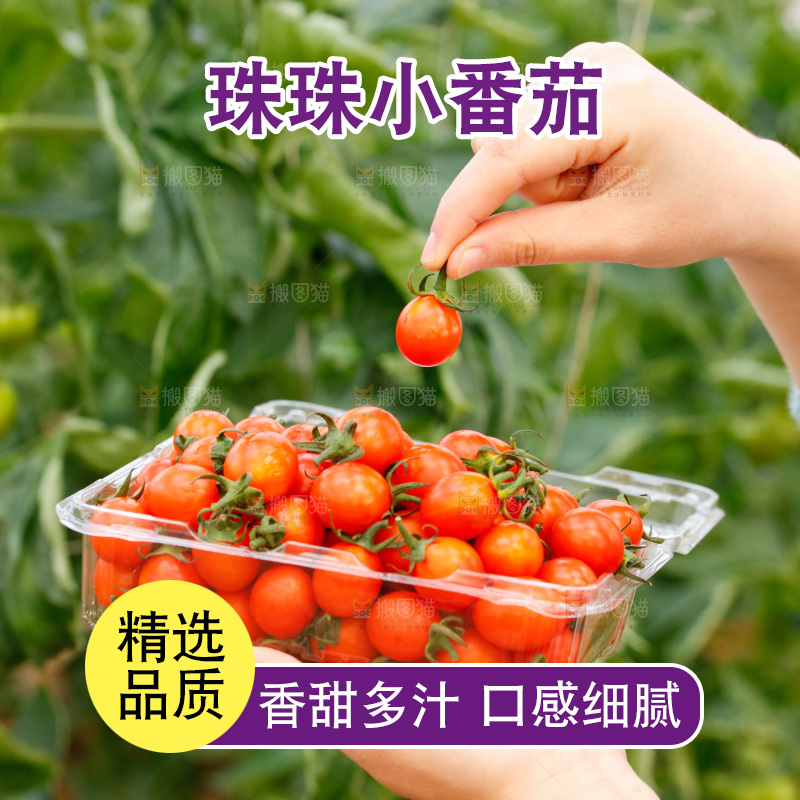盒子里装着珠珠小番茄