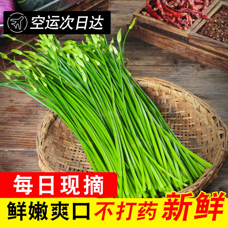 篮子里装着韭菜苔