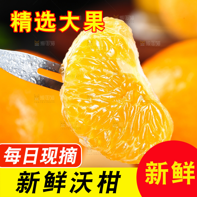 叉子上插着沃柑果肉