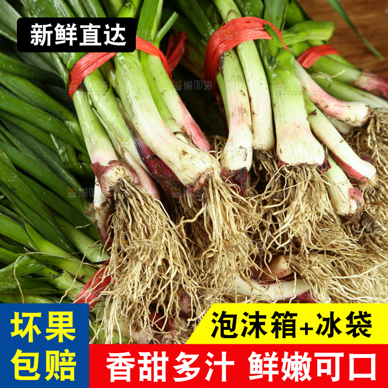 木底上放着一堆香蒜苗
