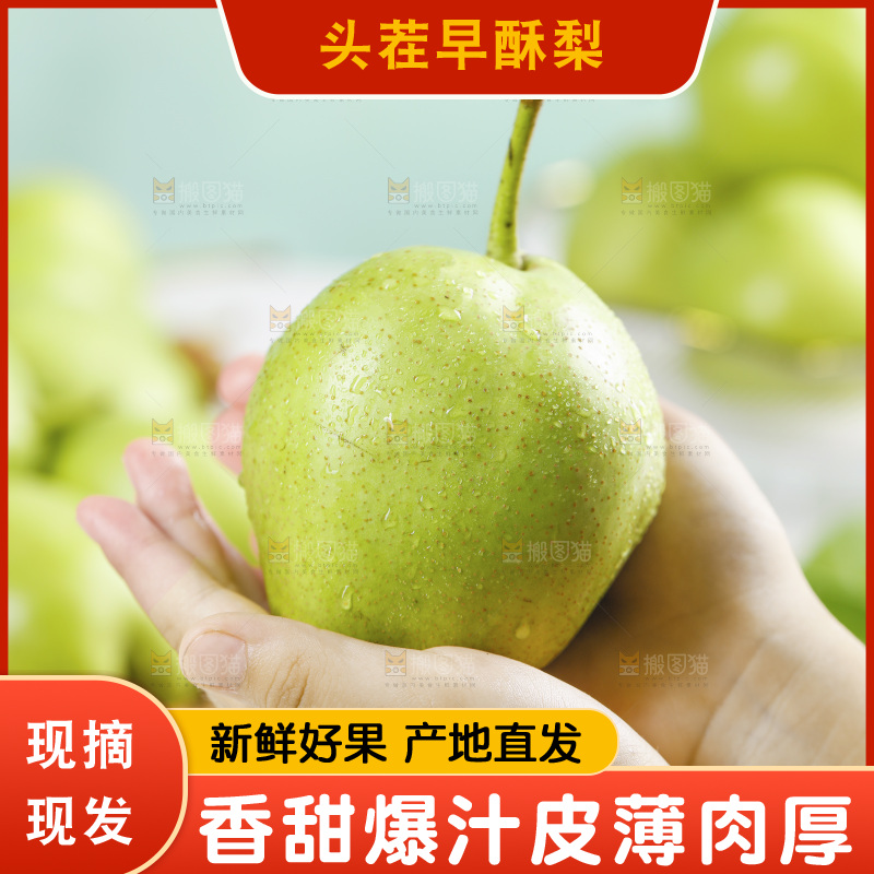 手上捧着早酥梨