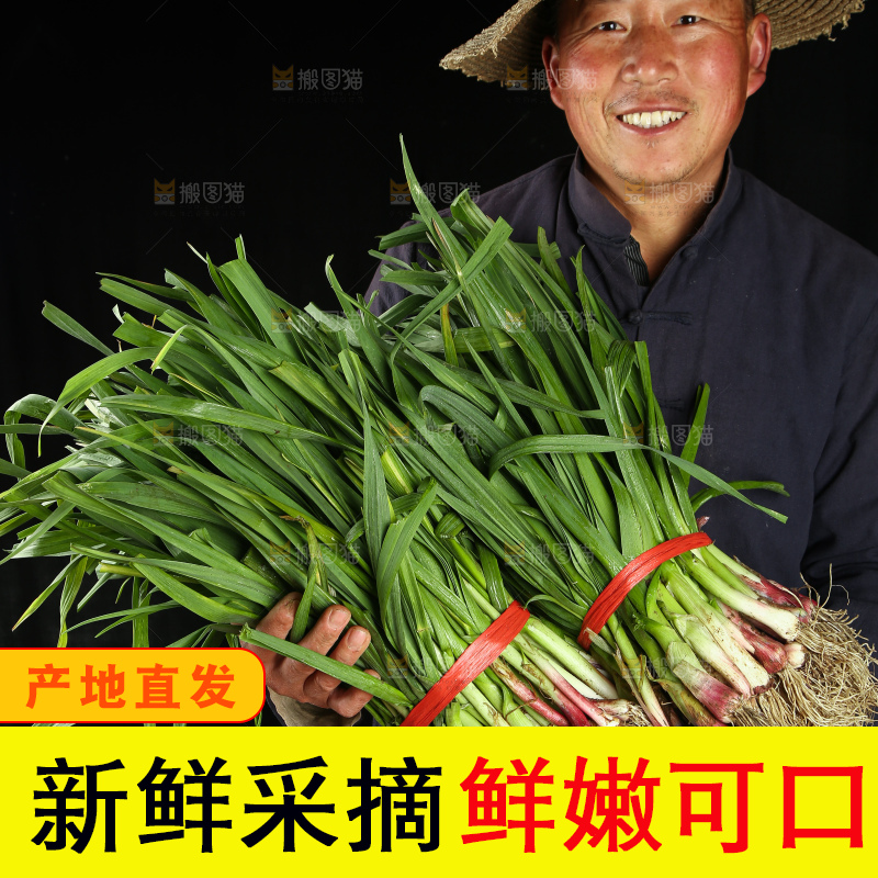 农民手里抱着蒜苗