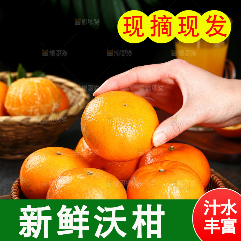 篮子里装着广西沃柑