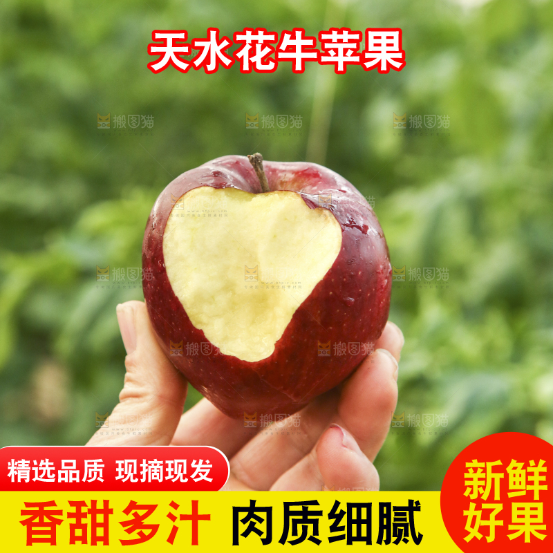 手里拿着花牛苹果