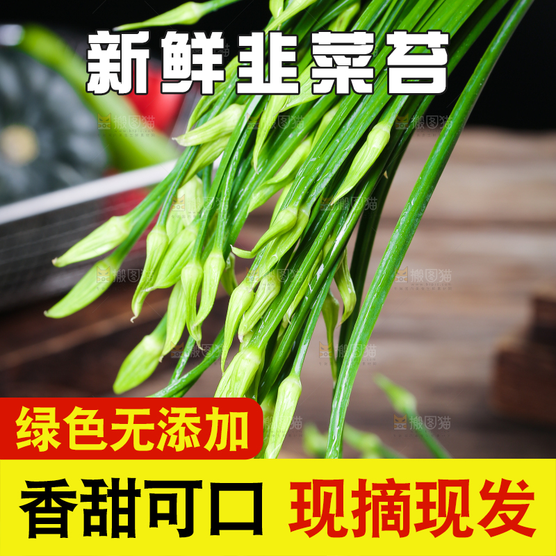 新鲜的韭菜苔