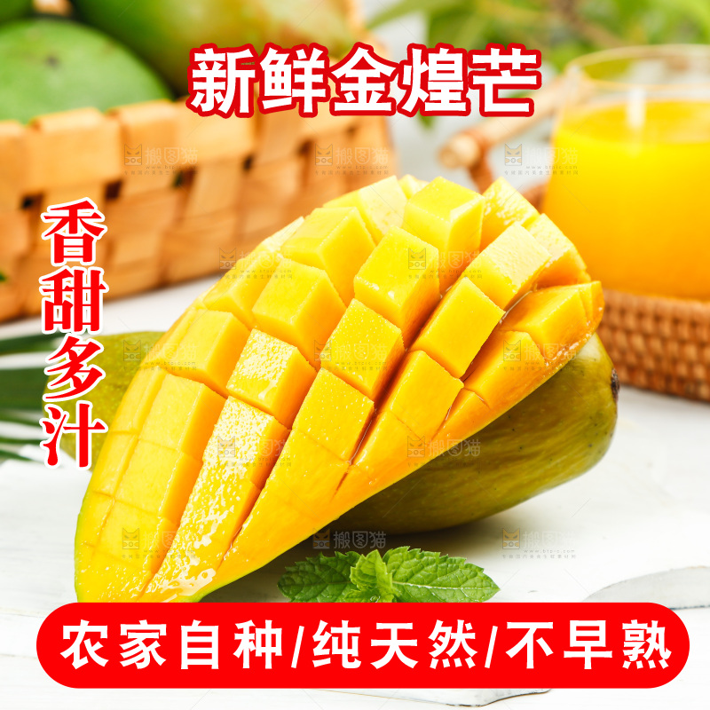 白底上放着金煌芒