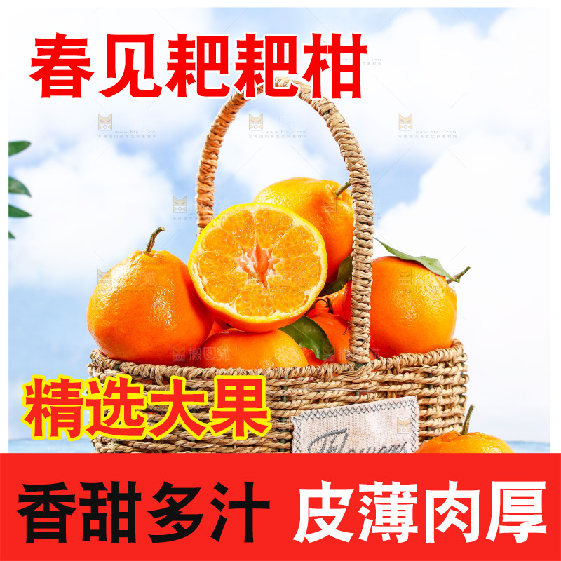 篮子里装着春见耙耙柑