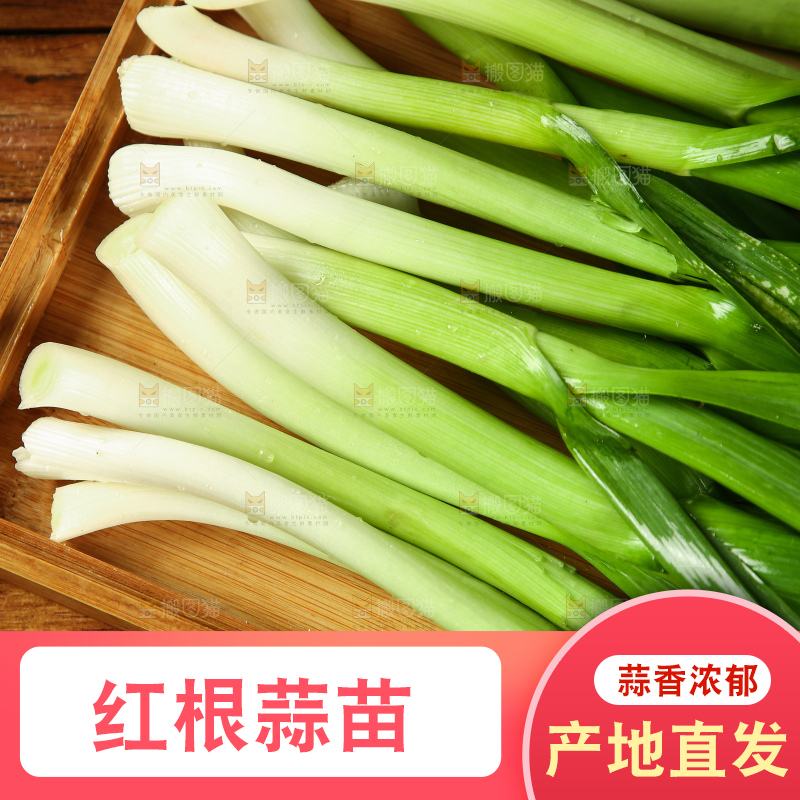 盘子里的蒜苗