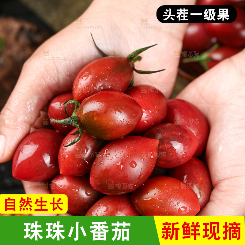 手里捧着新鲜小番茄