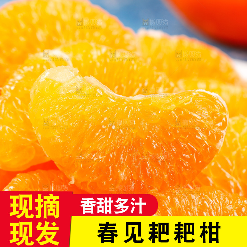 耙耙柑果肉特写