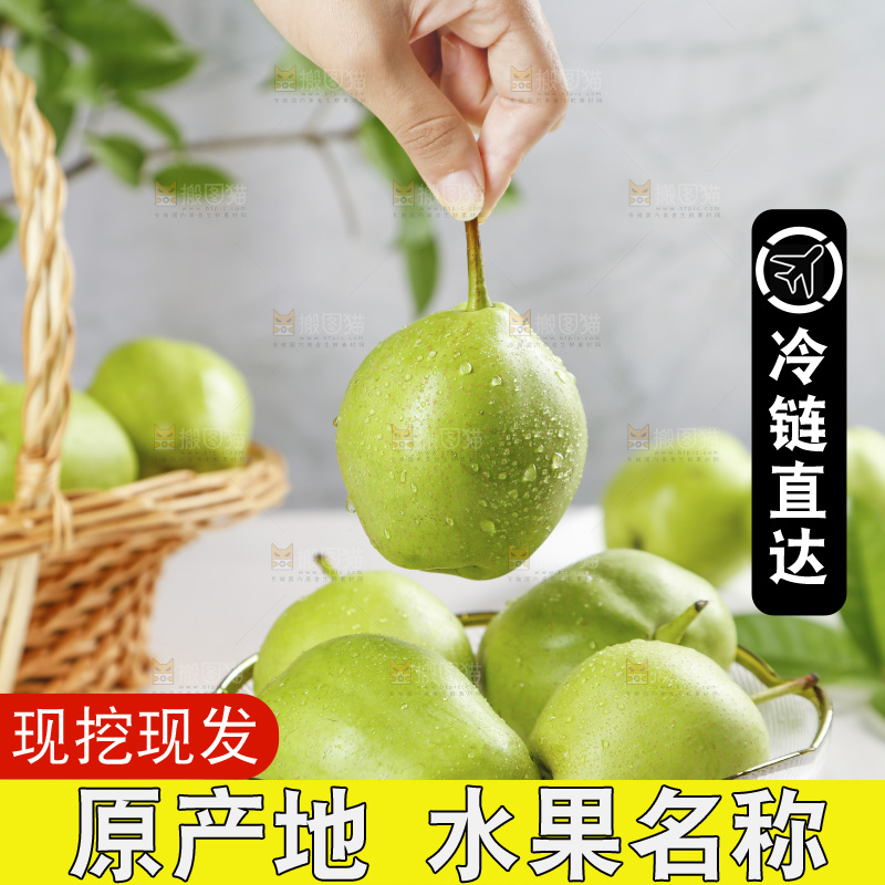 手上拿着早酥梨