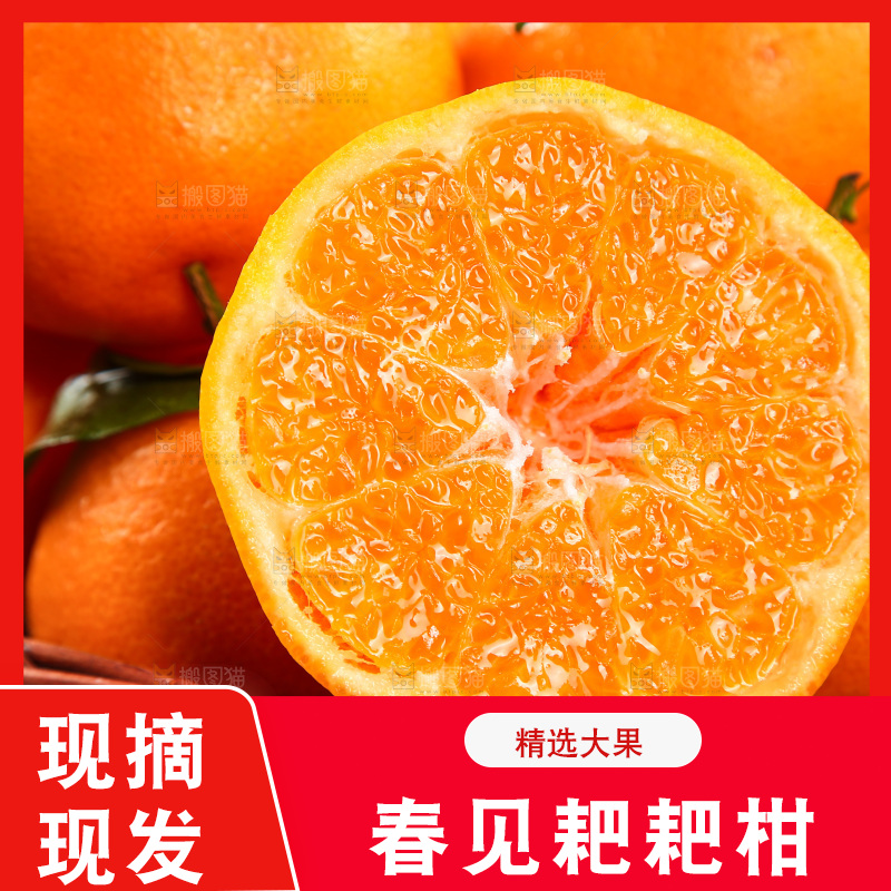 篮子里装着新鲜耙耙柑