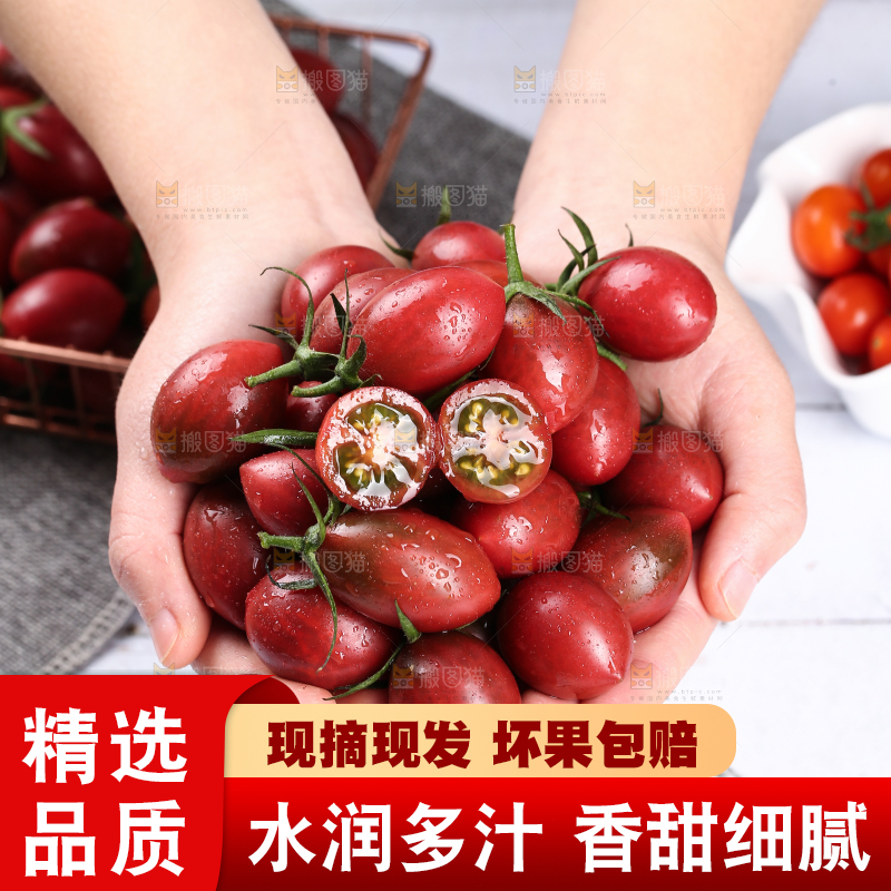 手里捧着珠珠小番茄
