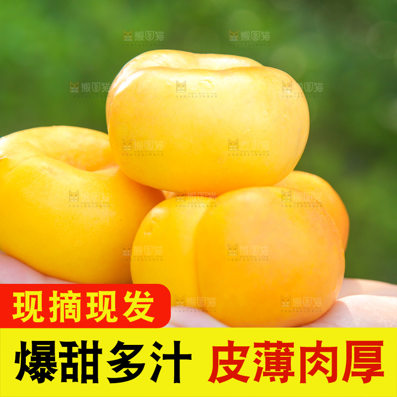 手里捧着的黄金油蟠桃