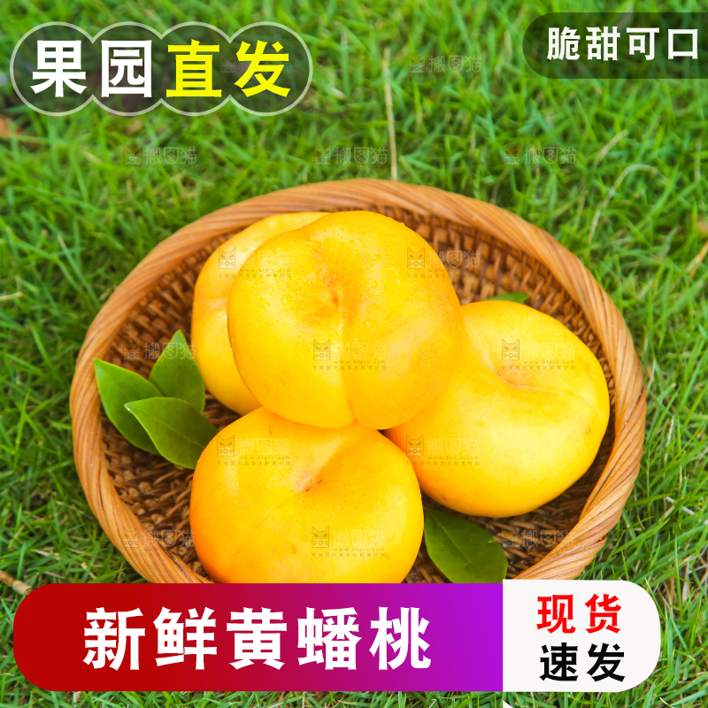 草坪上放着一篮蒙阴黄蟠桃