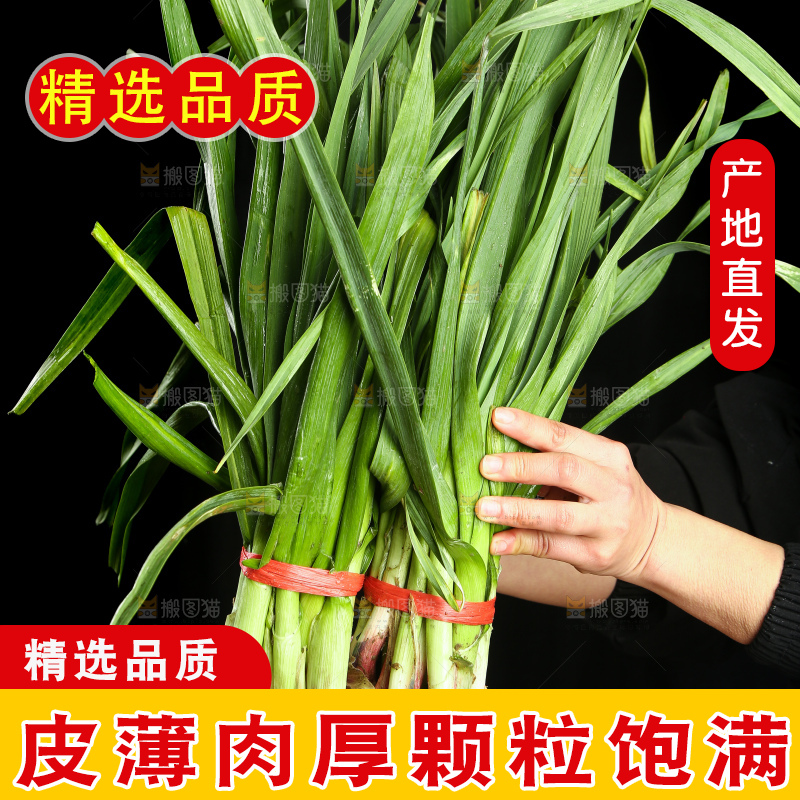 手上拿着蒜苗