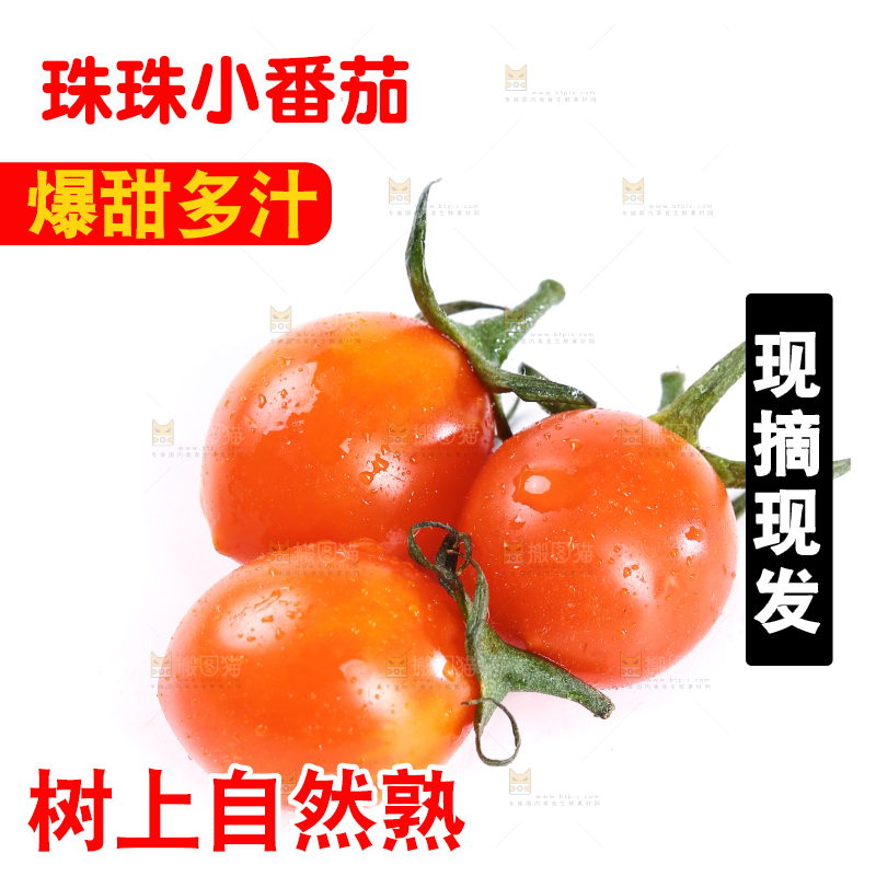 白底上放着珠珠小番茄