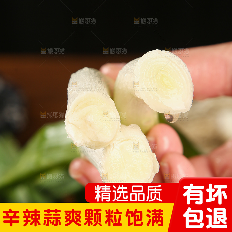 手里拿着大蒜苗