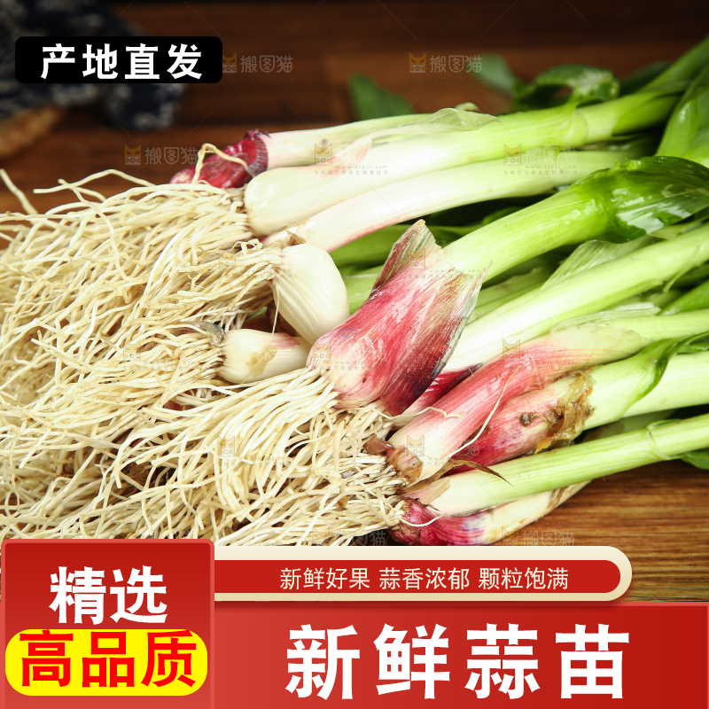 木底上放着一堆蒜苗