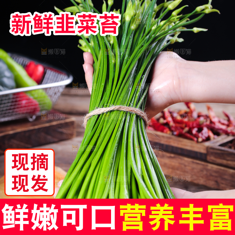 手上捧着的韭苔