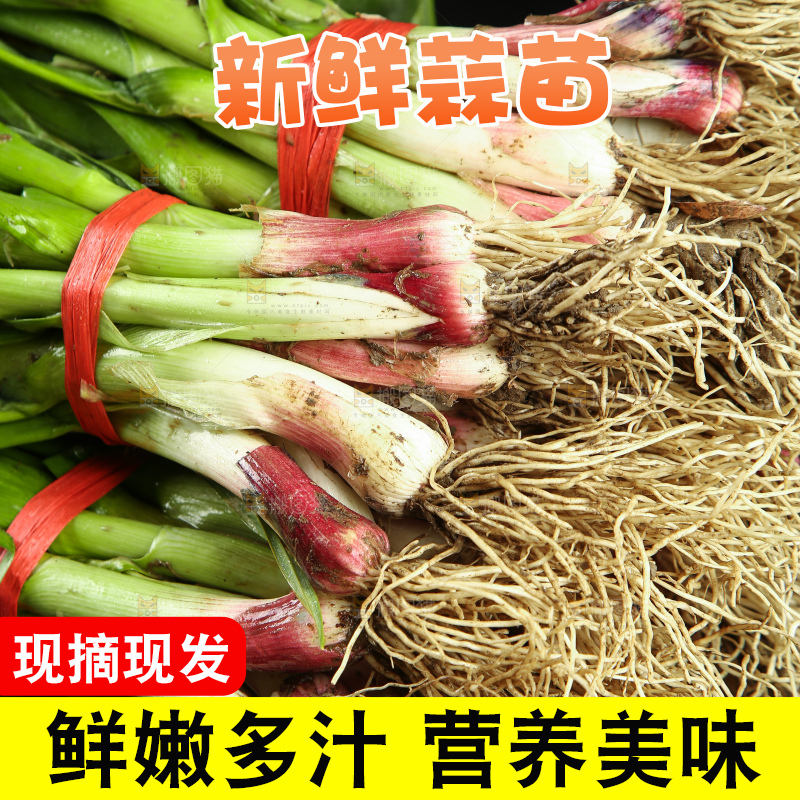 木底上放着一篮蒜苗