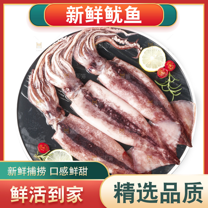 白底上放着一盘大鱿鱼