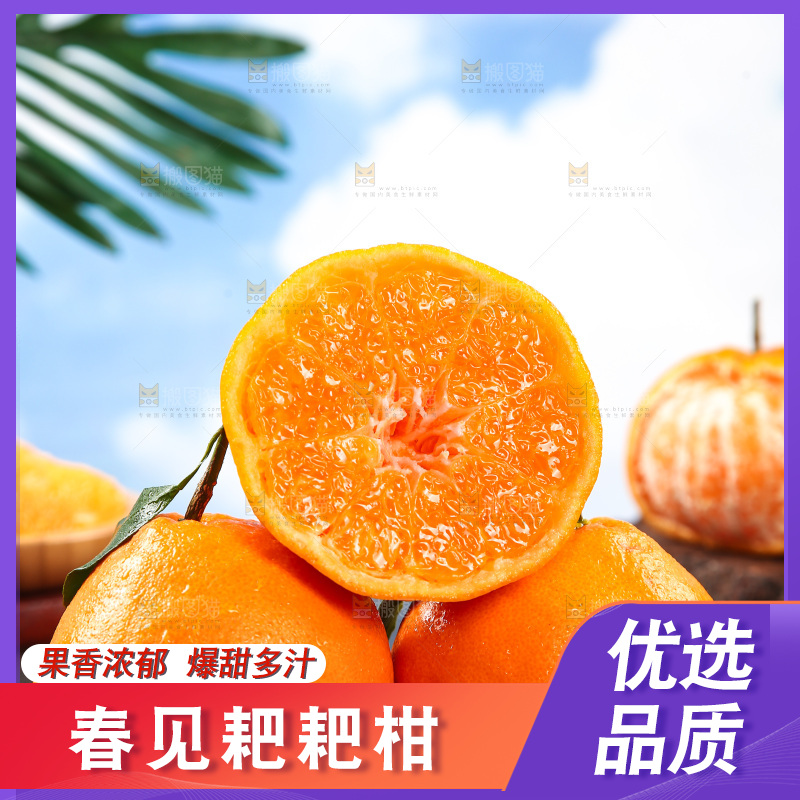 竹底上放着春见耙耙柑