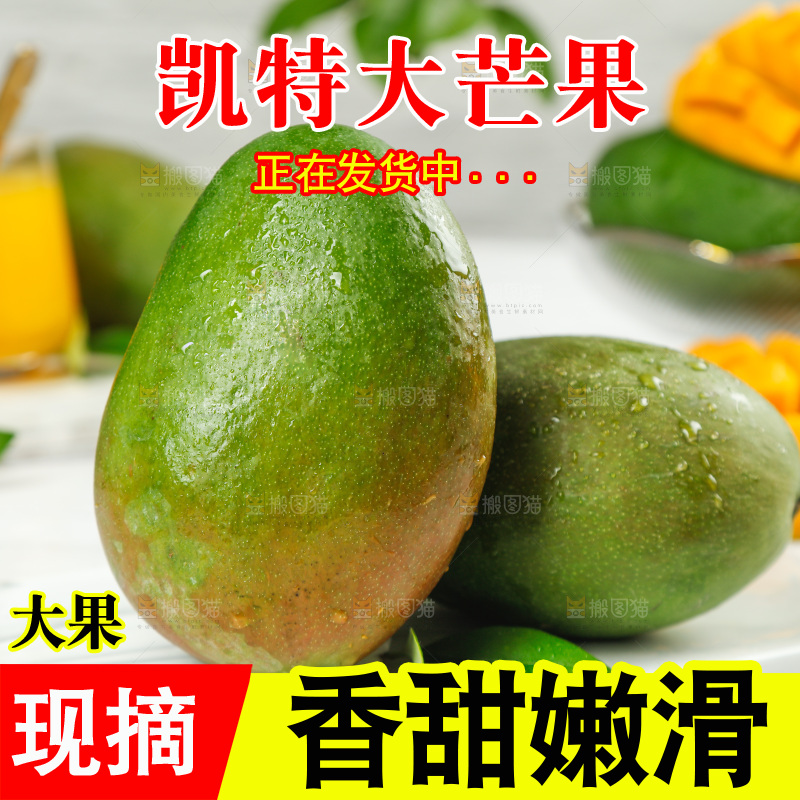 白底上放着凯特芒