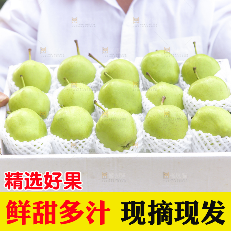 手端着一盒早酥梨