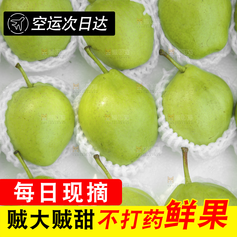 早酥梨纹理