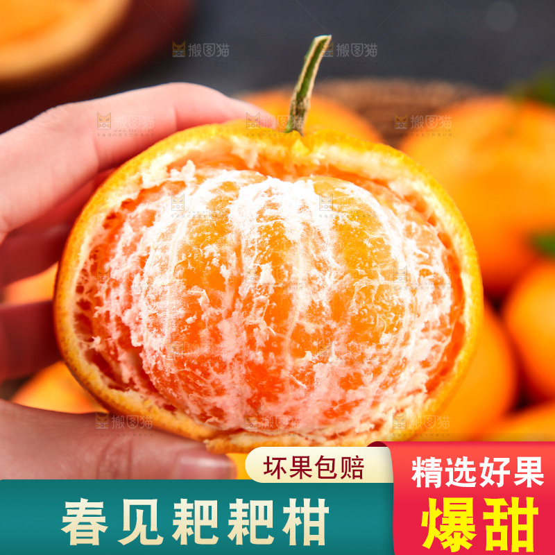手里拿着剥开的春见