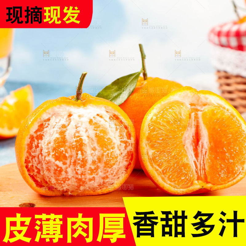 木板上的四川春见