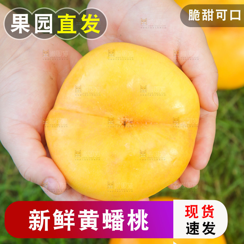 手捧着的黄金蟠桃