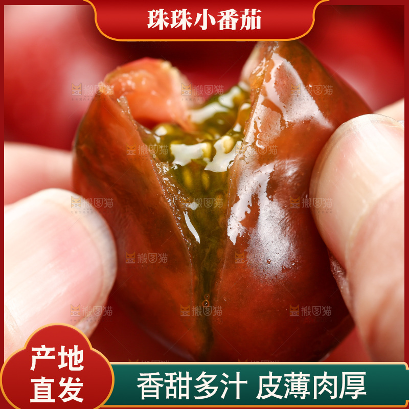 手里拿着新鲜小番茄