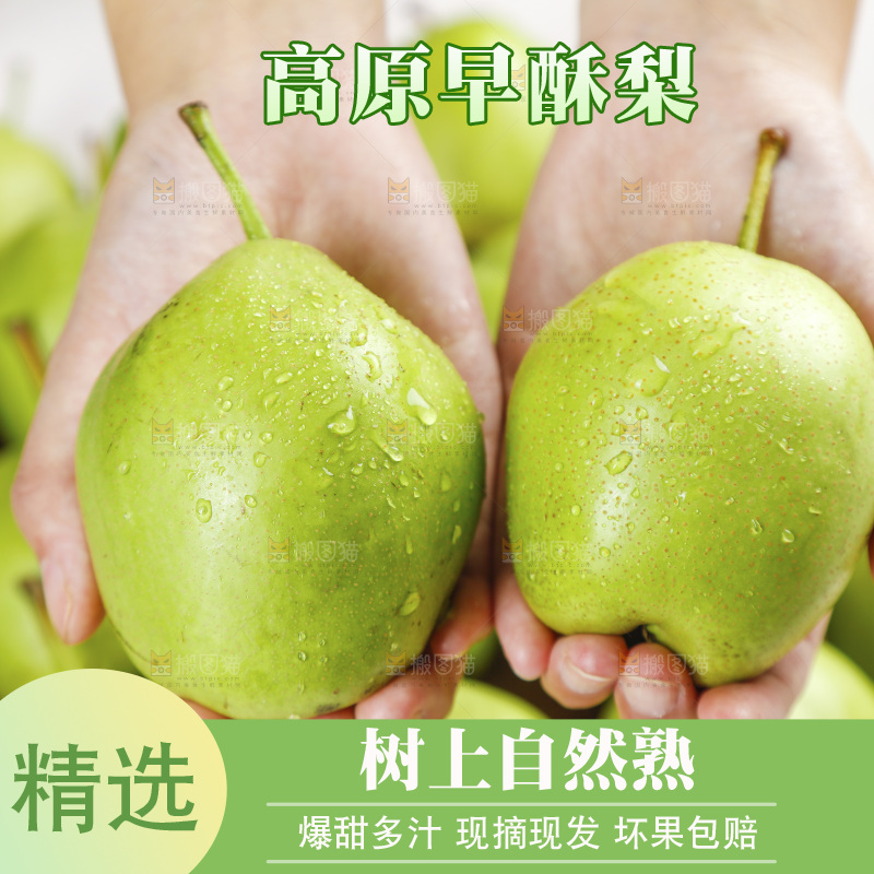手上拿着早酥梨