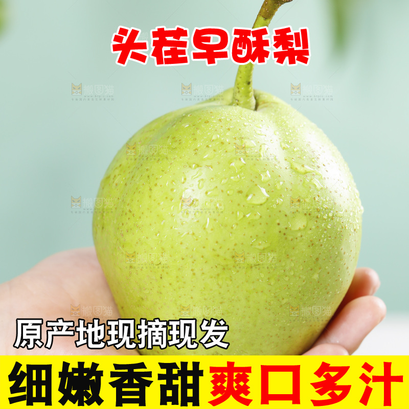 手上捧着早酥梨
