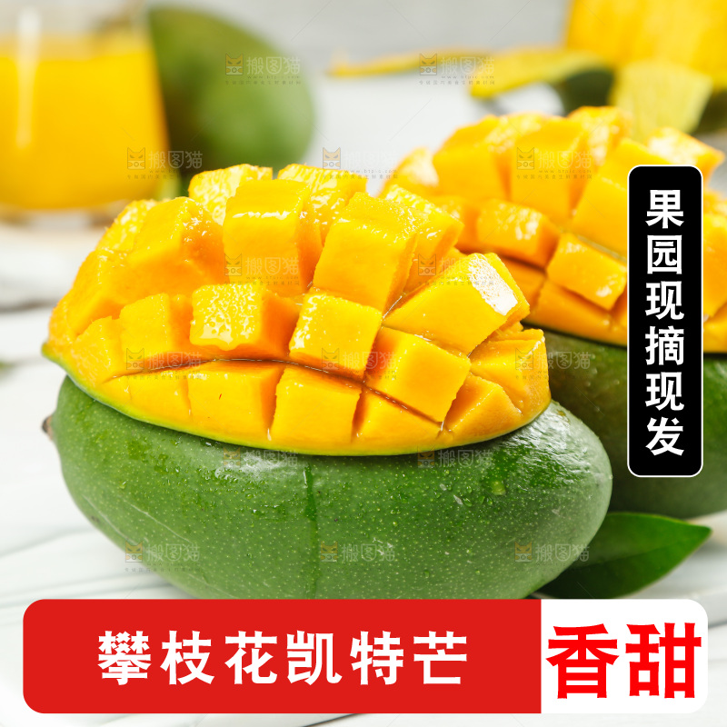 白底上放着凯特芒