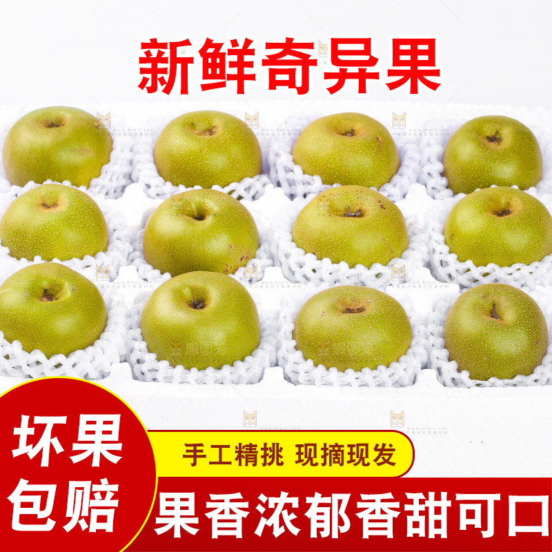 白底上的猕猴桃