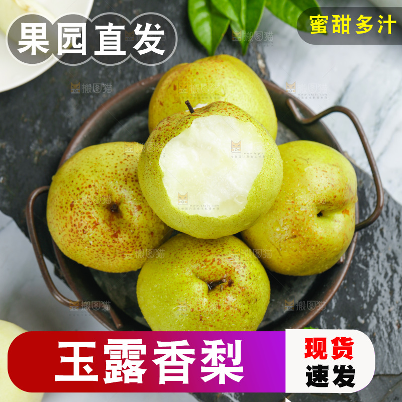 黑底上放着一盘山西玉露香梨