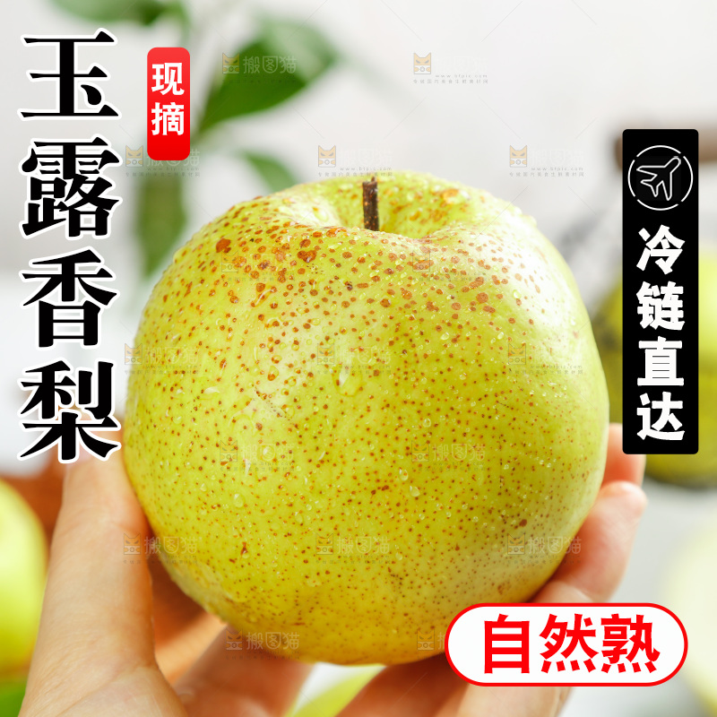 手上拿着的玉露香梨