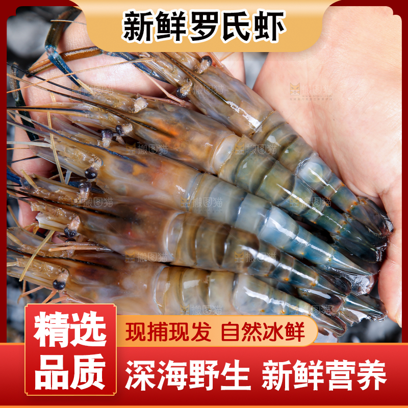 手上捧着罗氏沼虾