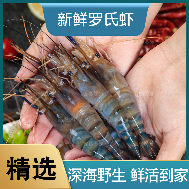 手上捧着罗氏沼虾
