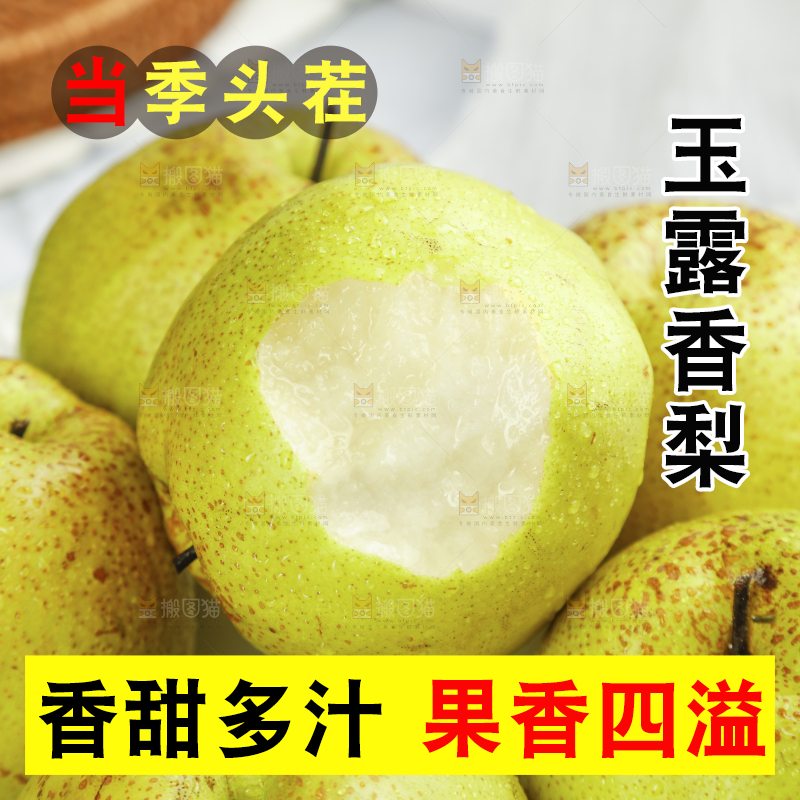新鲜的山西玉露香梨