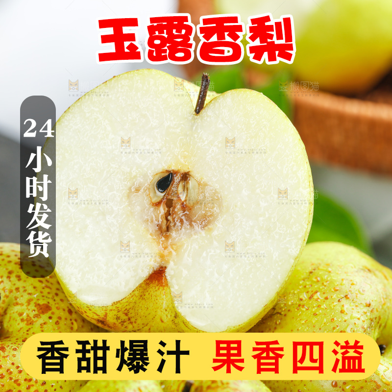 新鲜的山西玉露香梨