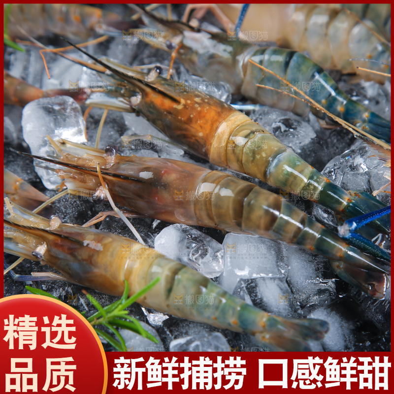 冰冻罗氏虾