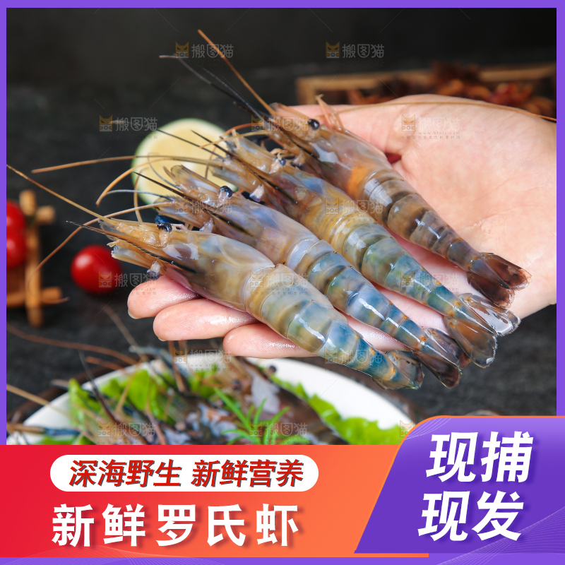 手上捧着罗氏沼虾